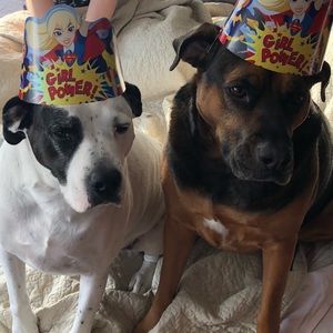 Meet your Posher, Molly